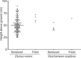 Attēlu rezultāti vaicājumam “Lacanobia contigua larva”
