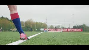 Image result for Rogerstone Rangers Junior Football Club