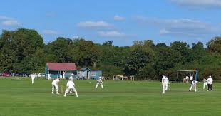 Image result for Tendring Cricket Club