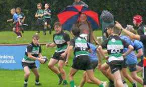 Image result for Wilmslow Rugby Union Football Club