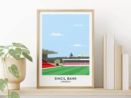 Image result for South Lincoln Jfc