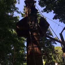 Image result for Go Ape! Leeds Castle