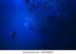 Image result for Tornado Divers