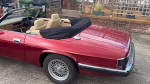 Image result for Flamenco 1993 Jaguar