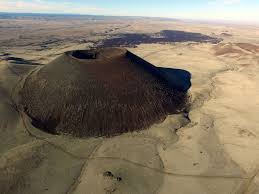 Attēlu rezultāti vaicājumam “Craterium sp.”