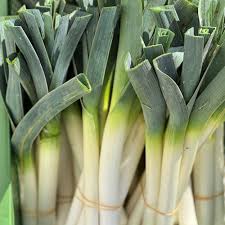 Image result for Porree