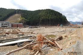 Image result for 耐震 大津波無力