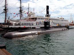 Image result for Dolphin Sub Aqua