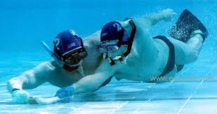 Image result for Brighton Octopush Club