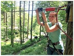Image result for Go Ape! Grizedale
