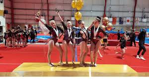 Image result for Hemsworth Odyssey Gymnastics Squad