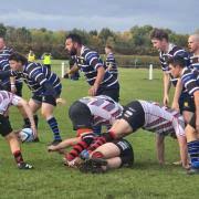 Image result for St Ives Rugby Club