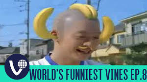 Image result for funniest picture ever