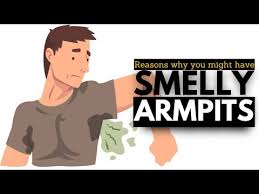 Image result for armpits are fine too