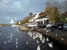 Image result for Walton On Thames Angling