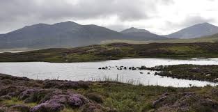 Attēlu rezultāti vaicājumam “Chaetophora pisiformis”