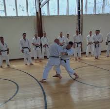 Image result for Farnham Kung Fu Club