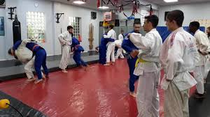 Image result for Tokei Martial Arts Club