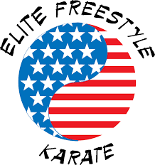 Image result for Northern Freestyle Karate Association