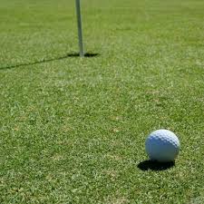 Image result for Browston Hall Country Club