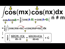 「 N   X ^   { [ C」の画像検索結果