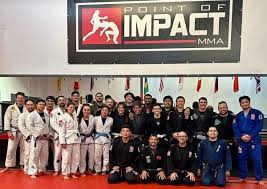 Image result for Impact Martial Arts