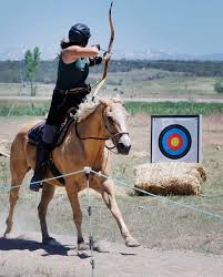 Image result for Silver Arrow Archery