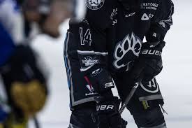 Image result for Haringey Junior Ice Hockey Club