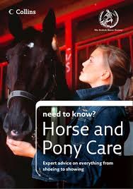 Image result for British Horse Society