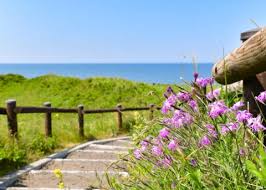 Image result for Bushiki Kwai