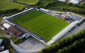 Image result for Newdigate F C