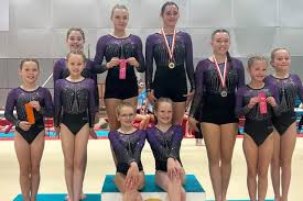 Image result for Horsham Gymnastics Club