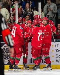 Image result for Cardiff Devils