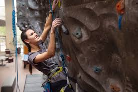 Image result for High Sports Climbing Wall