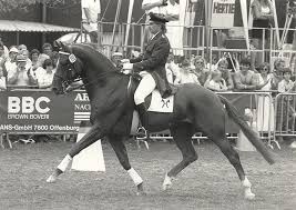 Image result for wiedenmann tehron