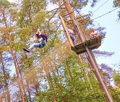 Image result for Go Ape! Dalby