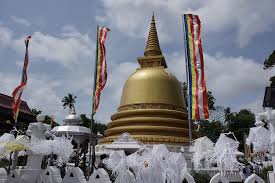 Image result for Дамбулла