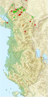 Attēlu rezultāti vaicājumam “Erebia aethiops upperside”