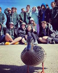 Image result for City Of Bristol Rowing Club