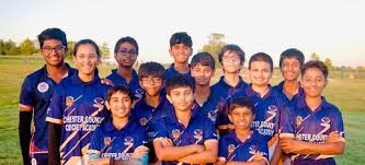 Image result for High Easter Cricket Club