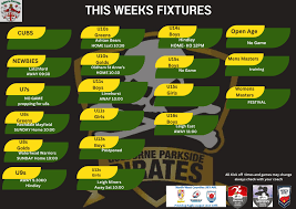 Image result for Parkside Golborne Amateur Rugby League Football Club