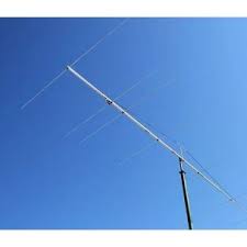 Image result for digitenne yagi