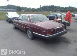 Image result for Claret 1983 Jaguar