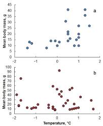 Image result for Arctogadus glacialis