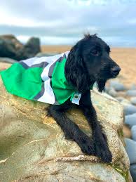 Image result for Bideford Parkour Club