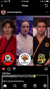 Image result for Thames Valley Karate