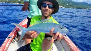 Image result for Aprion virescens