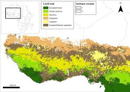 Attēlu rezultāti vaicājumam “Delichon urbicum adult”