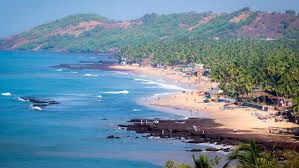 Image result for goa beaches