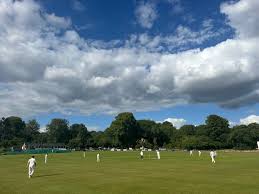 Image result for Tendring Cricket Club